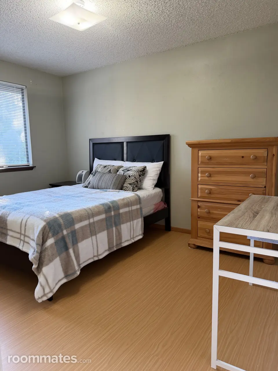 Profile photo 1 of 11