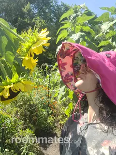 Roommate looking Tucson, AZ, $1000