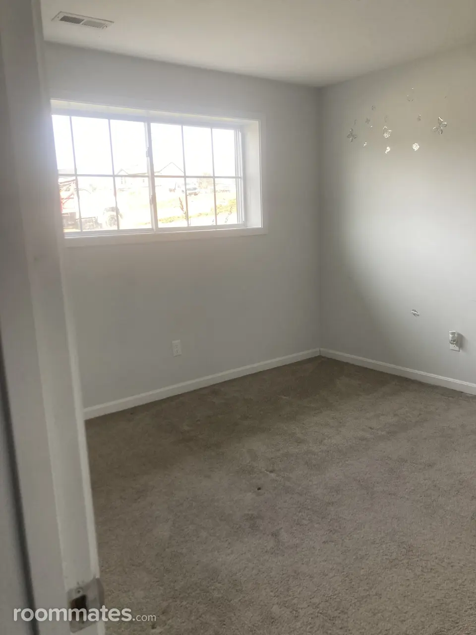 Profile photo 4 of 11