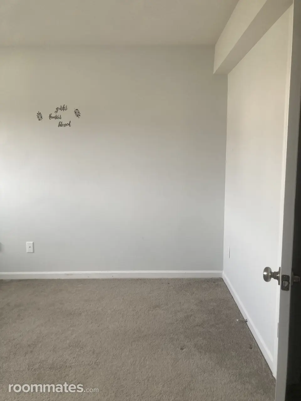 Profile photo 5 of 11