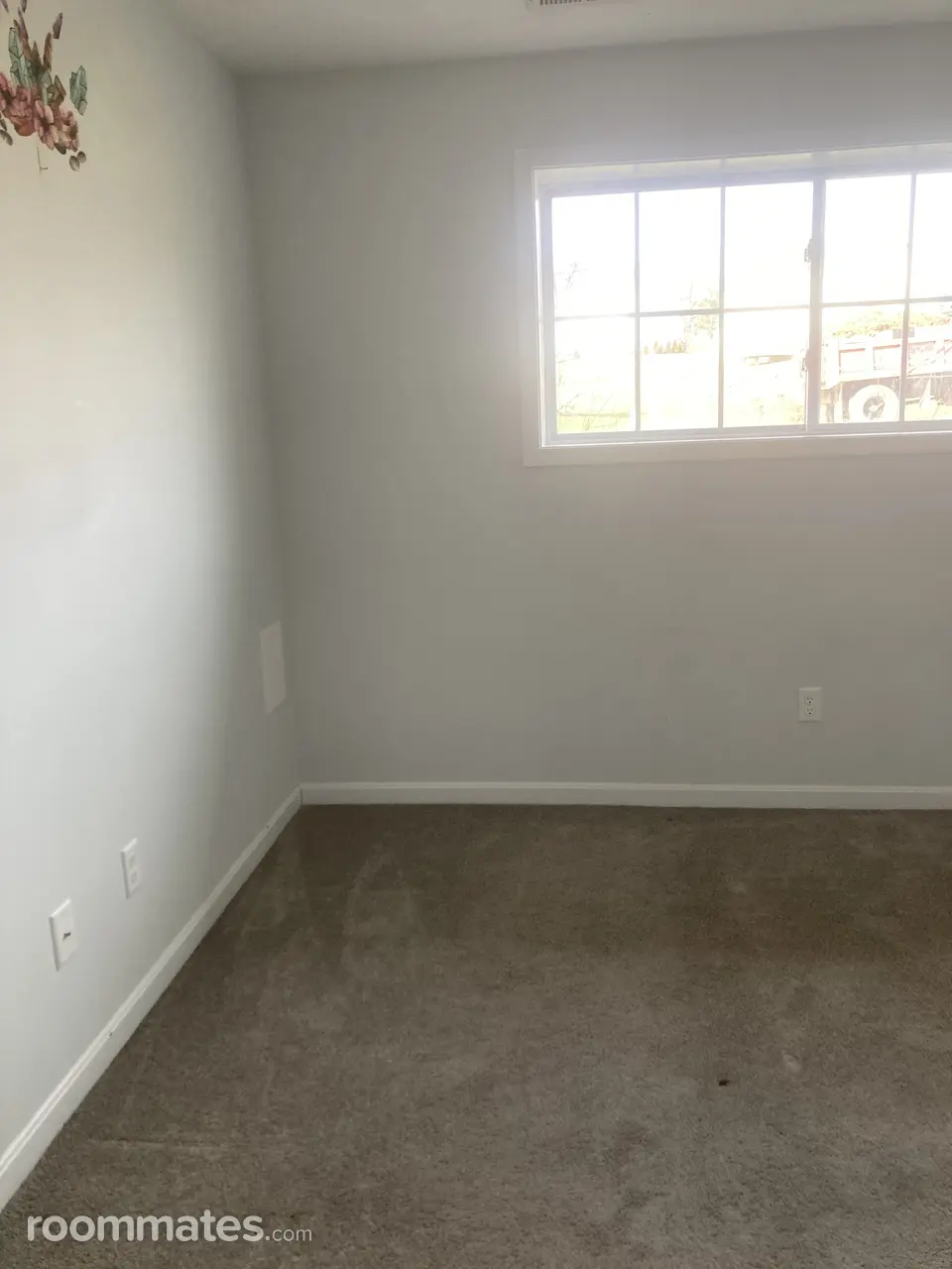 Profile photo 3 of 11