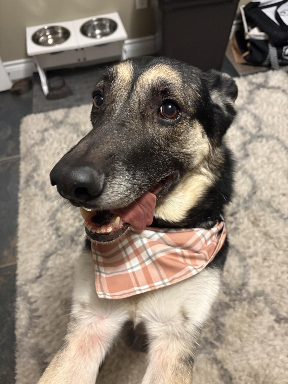 Profile photo 7 of 9