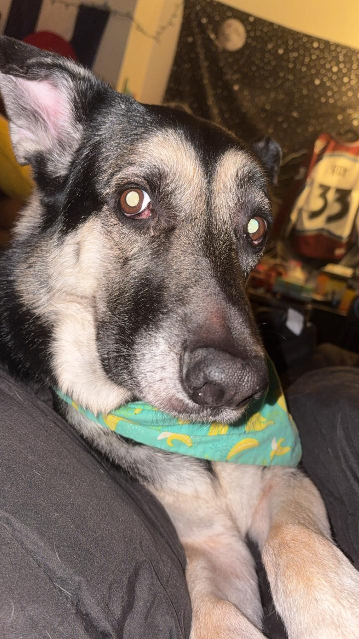 Profile photo 8 of 9