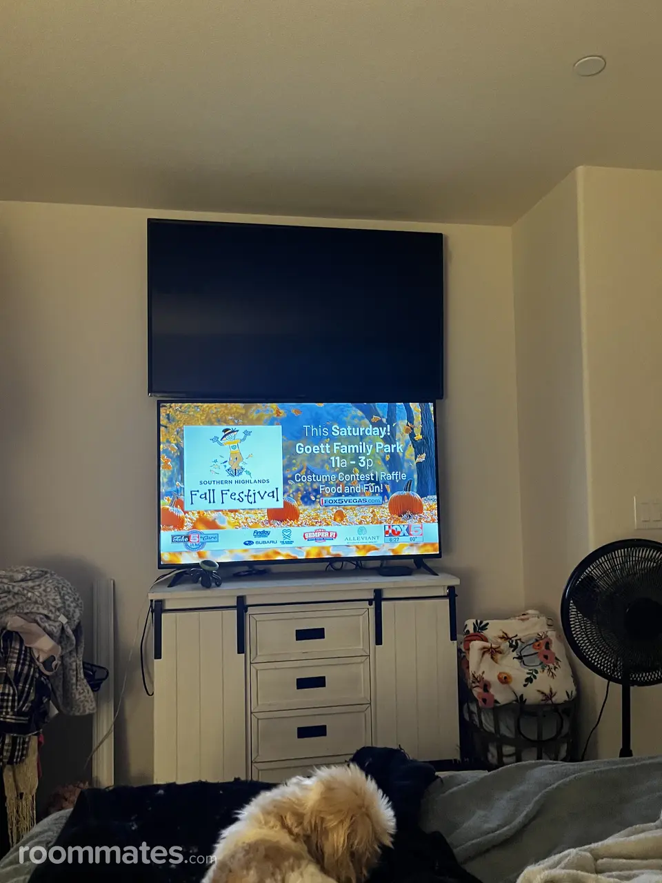 Profile photo 3 of 17