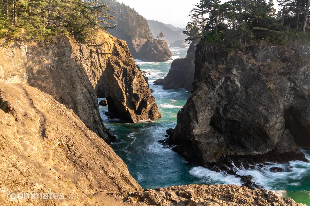 Profile photo 5 of 5