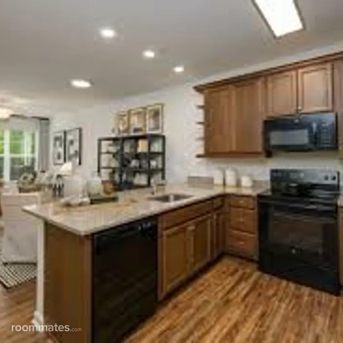 Room for rent in Millsboro, DE $1000, apartment