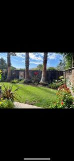 Room for rent in San Jose, CA $1600, other