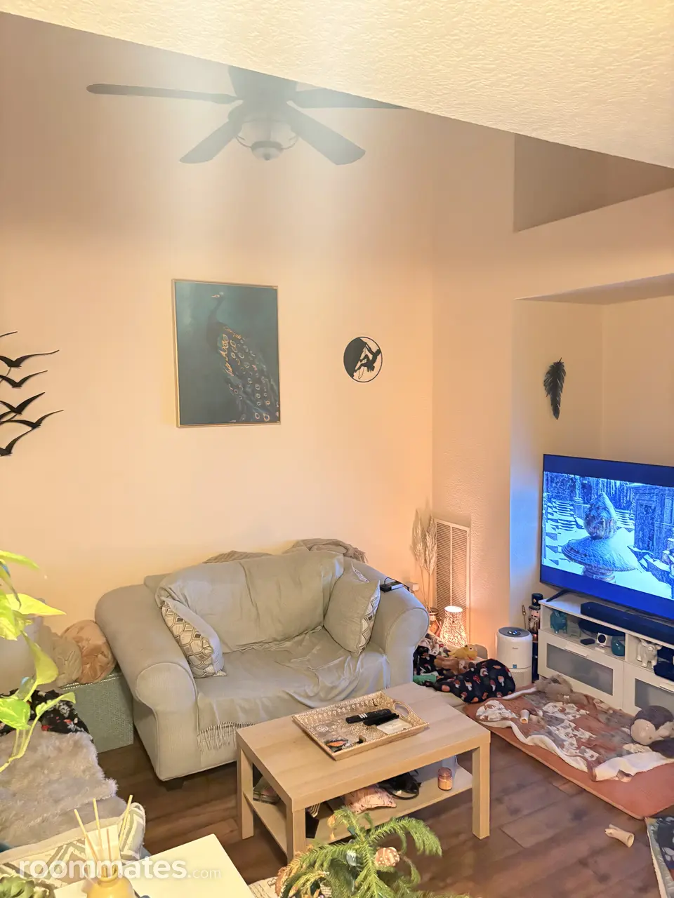 Profile photo 1 of 11