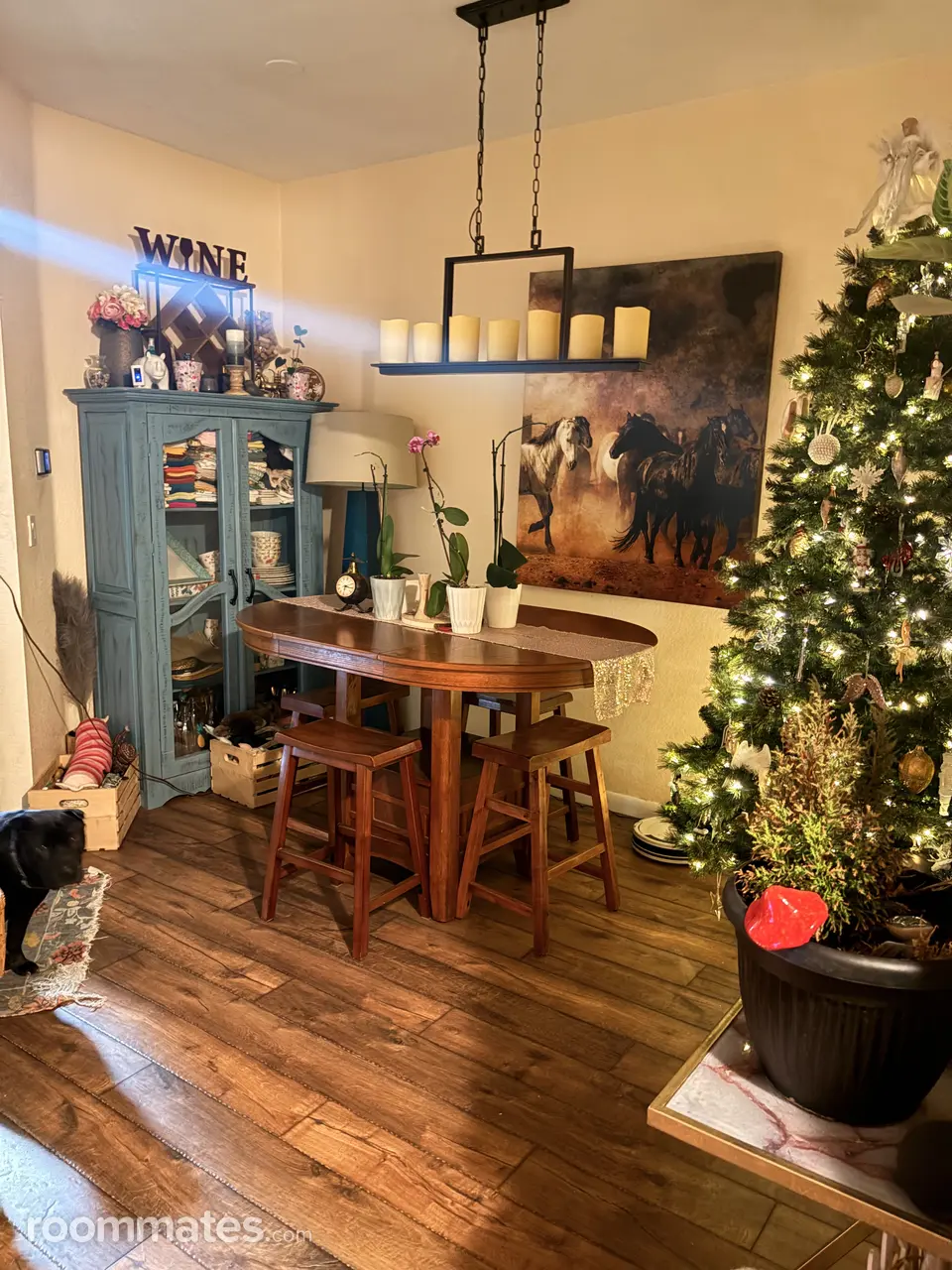 Profile photo 5 of 11