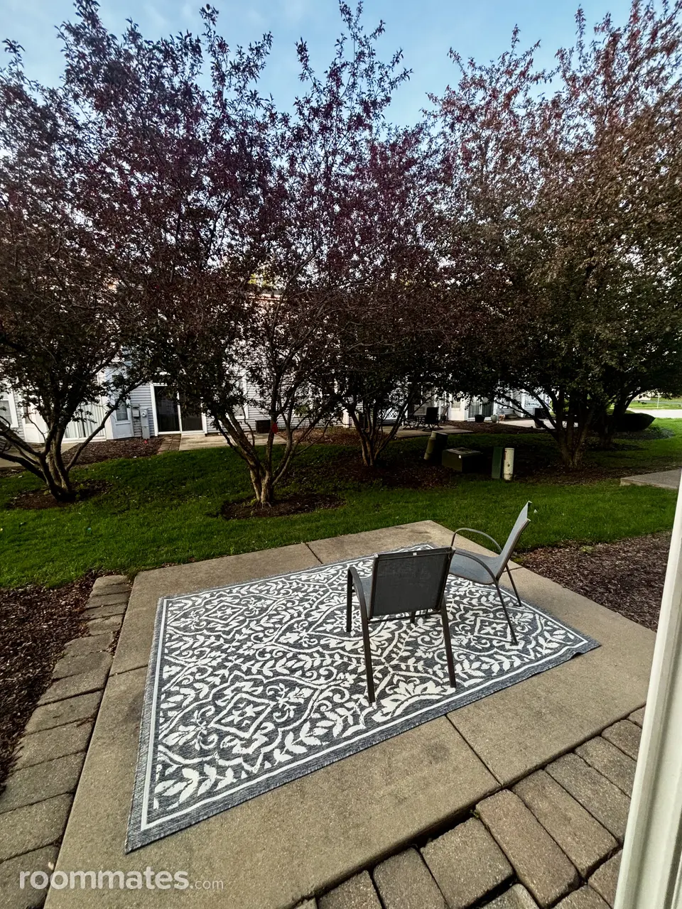 Profile photo 10 of 11