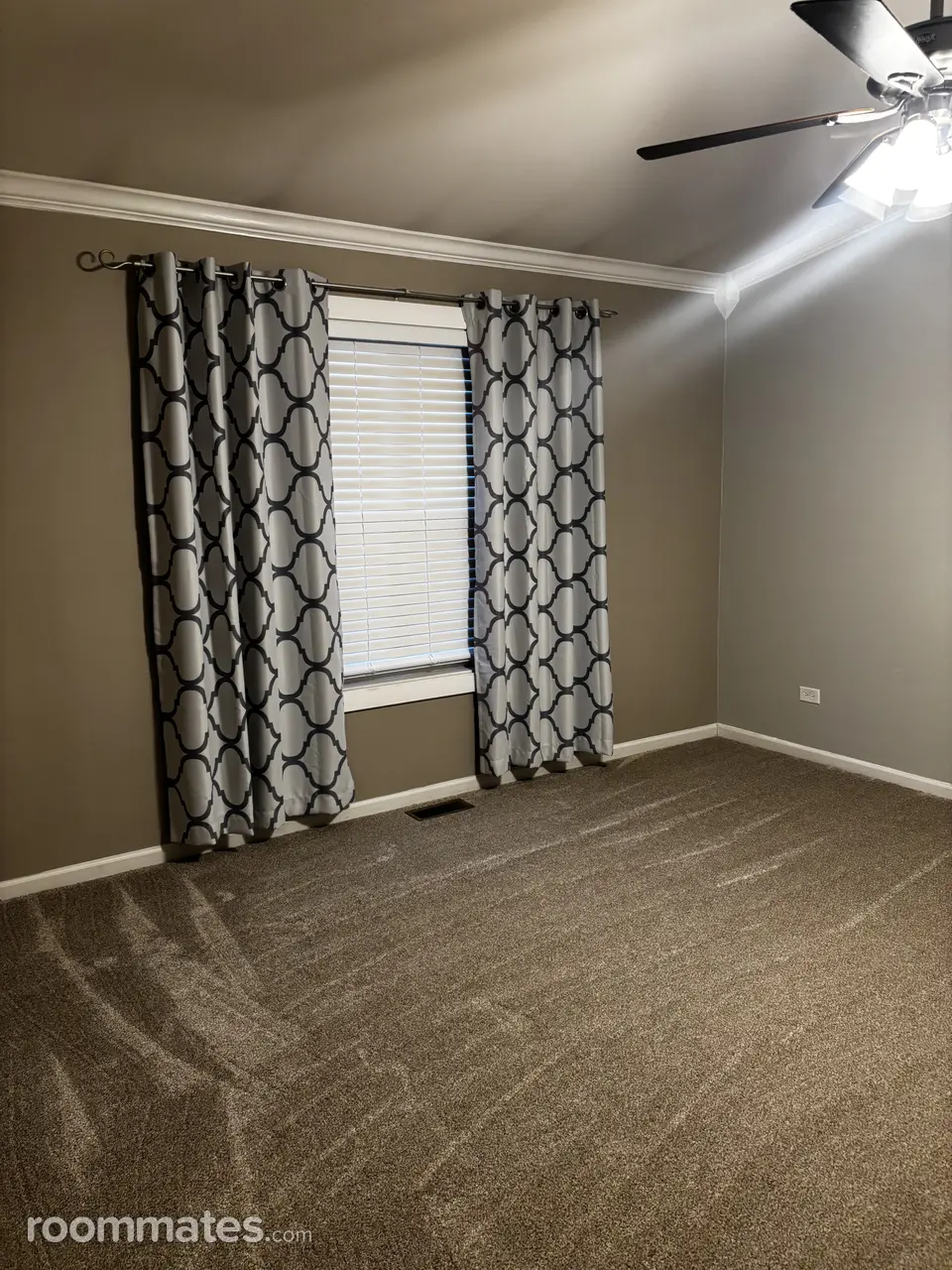 Profile photo 9 of 11