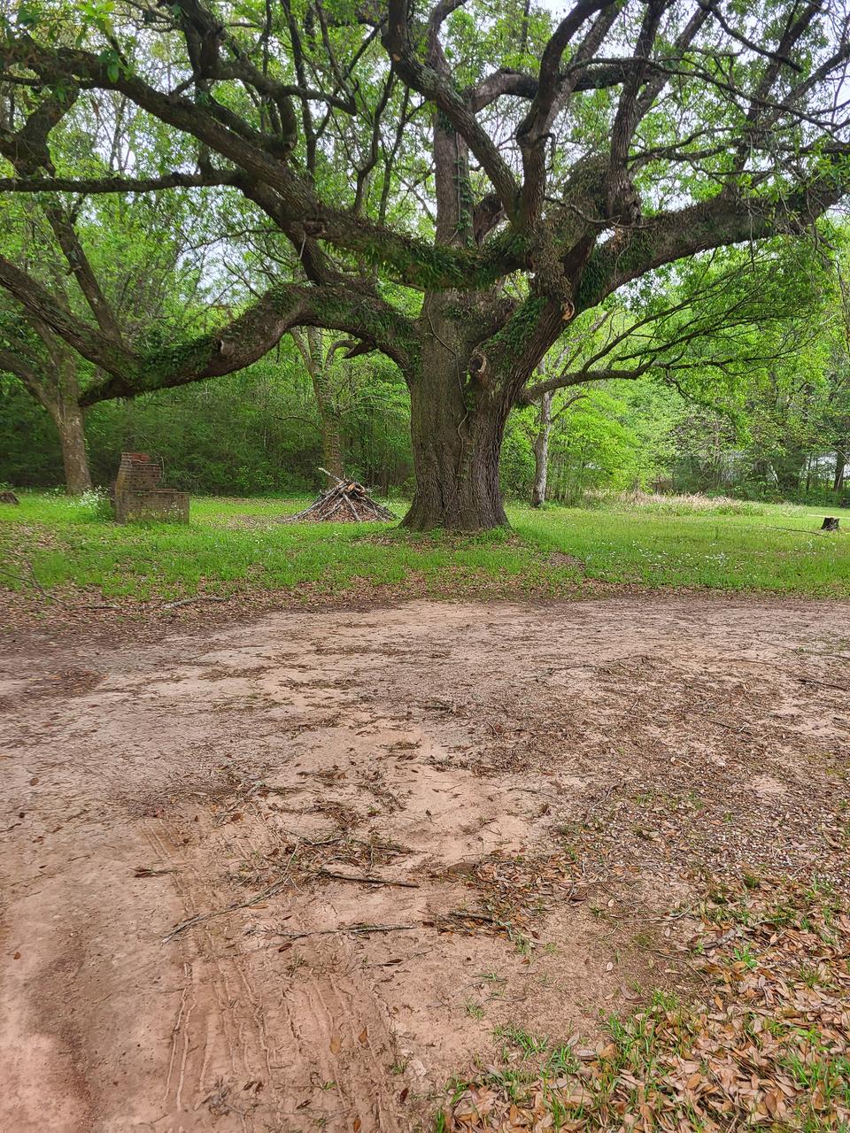 Profile photo 1 of 4