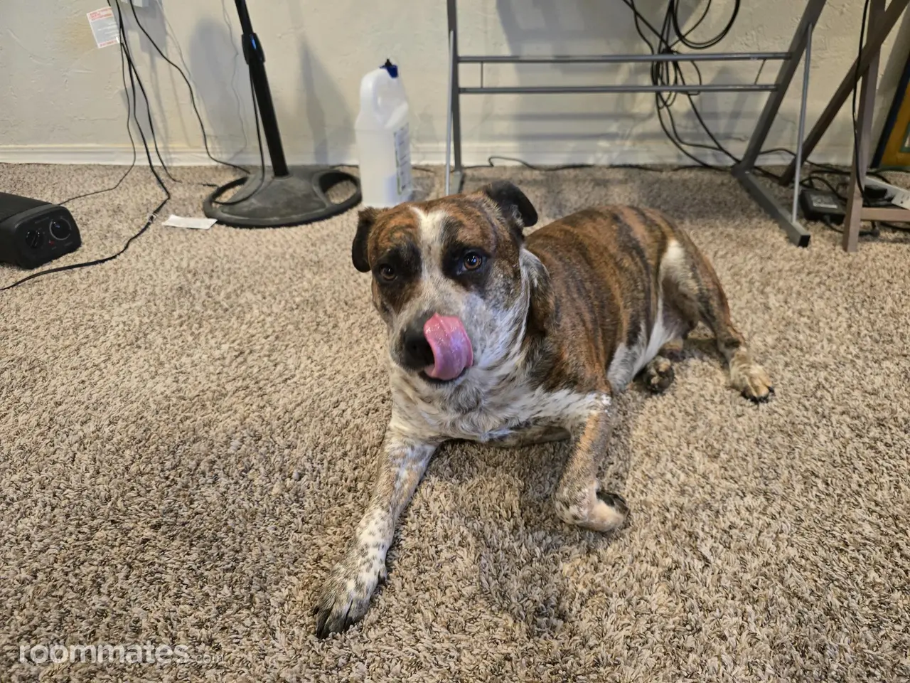 Profile photo 11 of 12