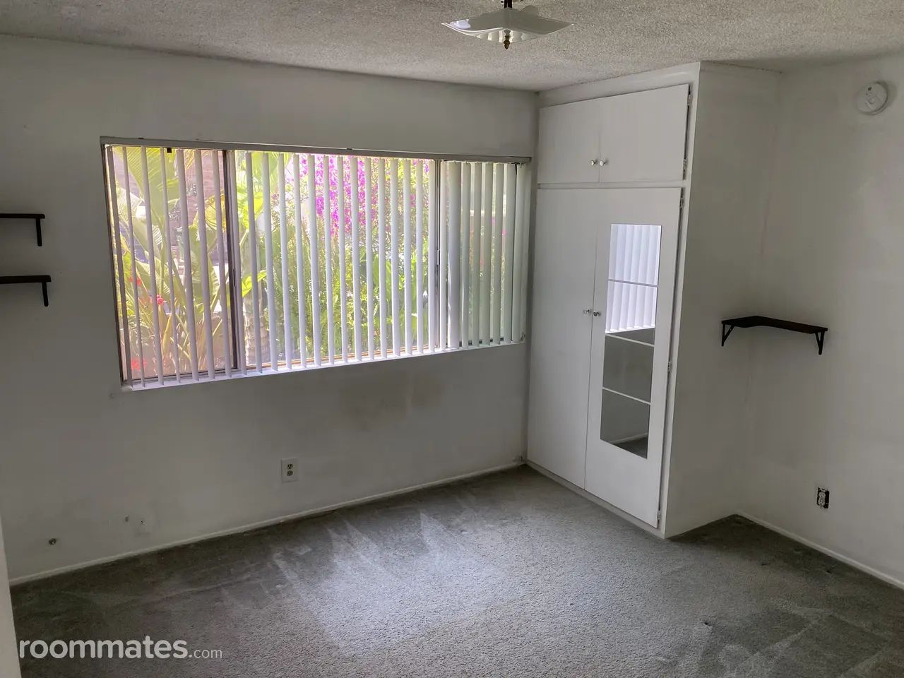 Profile photo 8 of 9