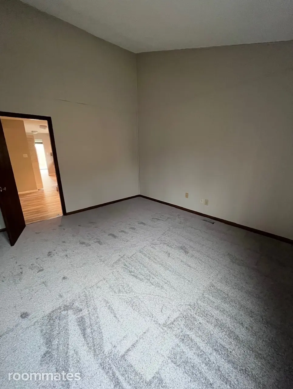 Profile photo 5 of 21