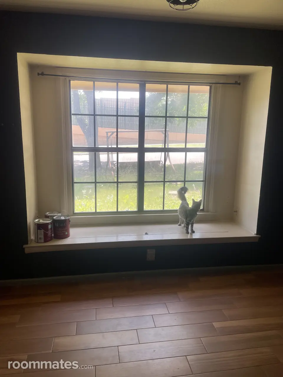 Profile photo 1 of 8