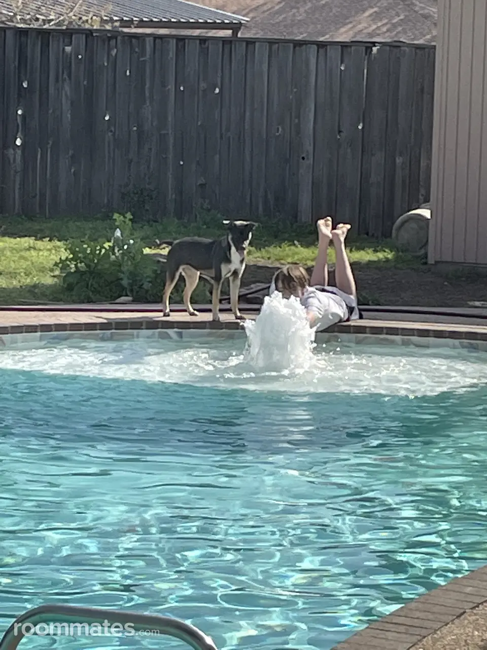 Profile photo 8 of 8