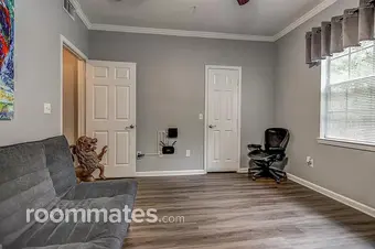 Room for rent in Temple Terrace, FL $900, apartment