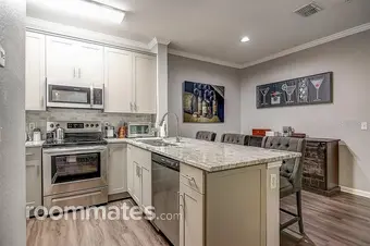 Room for rent in Temple Terrace, FL $900, apartment