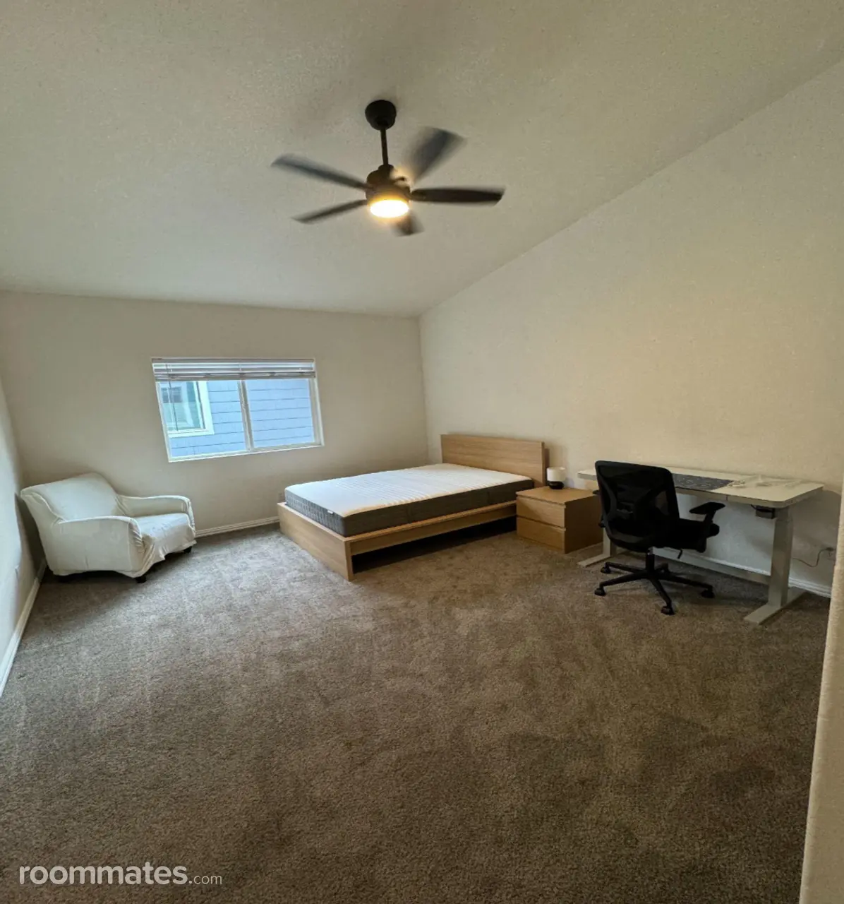 Profile photo 4 of 7