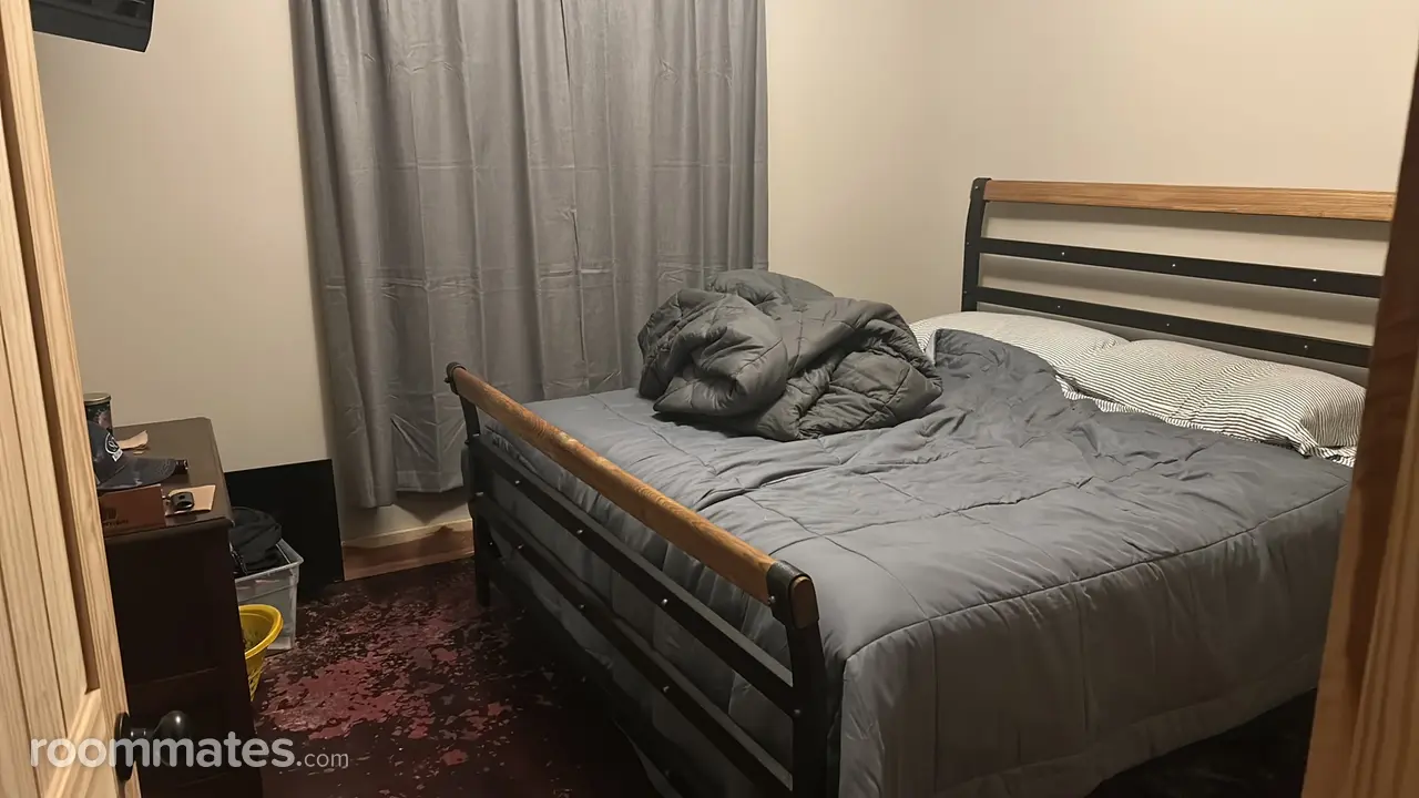 Profile photo 2 of 2