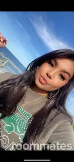 Roommate looking Chicago, IL, $600