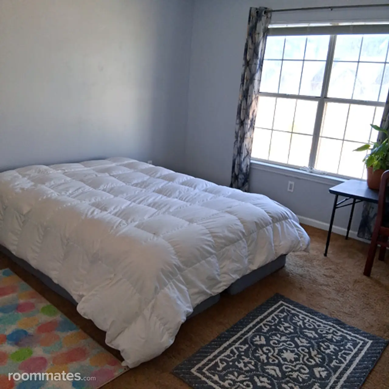 Profile photo 2 of 5