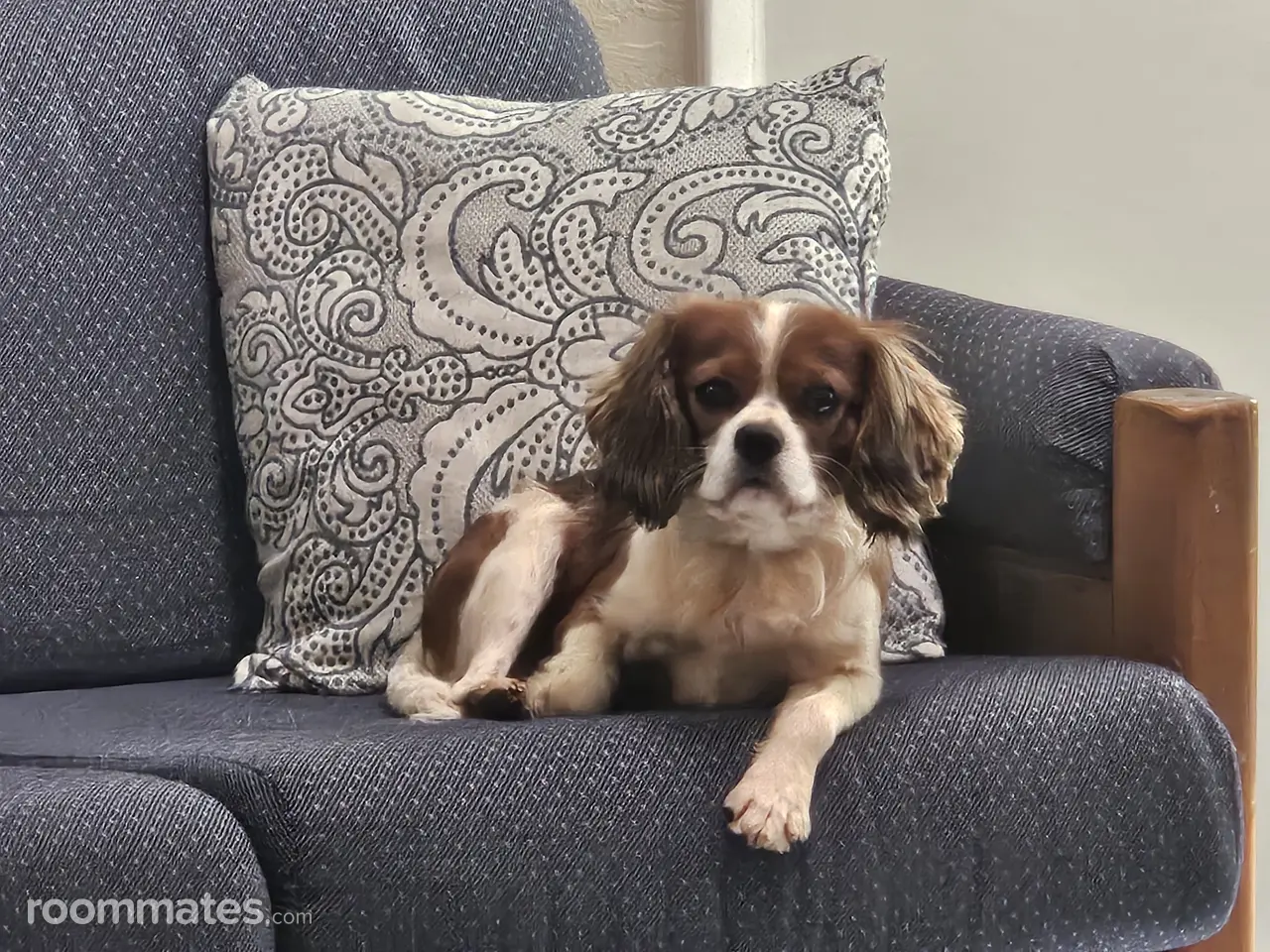 Profile photo 2 of 3