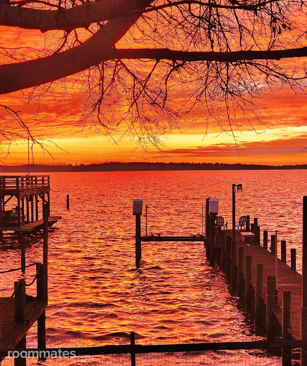 Profile photo 4 of 8