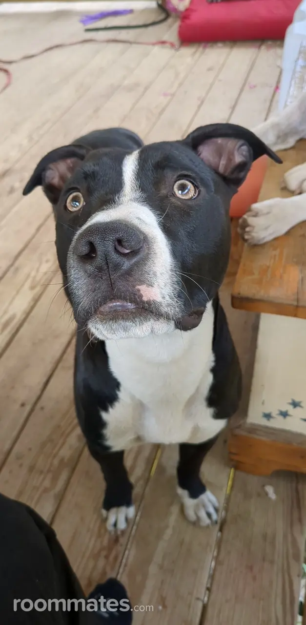 Profile photo 2 of 5