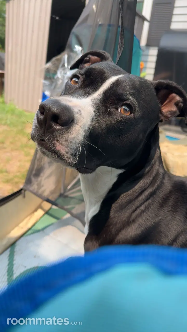 Profile photo 4 of 5