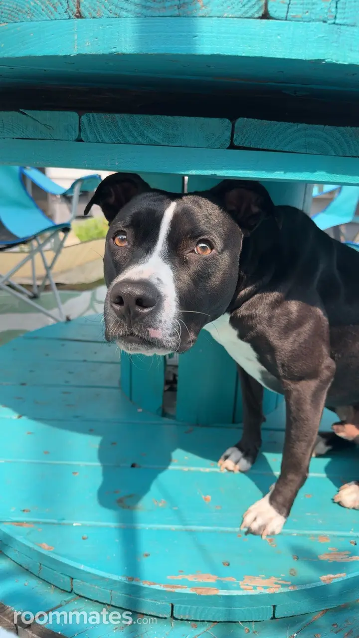 Profile photo 5 of 5