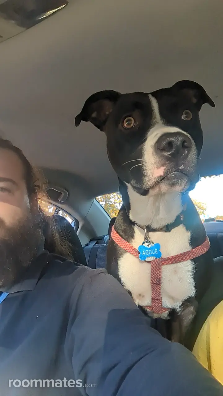 Profile photo 3 of 5