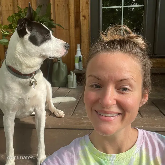 Roommate looking Franklin, TN, $800