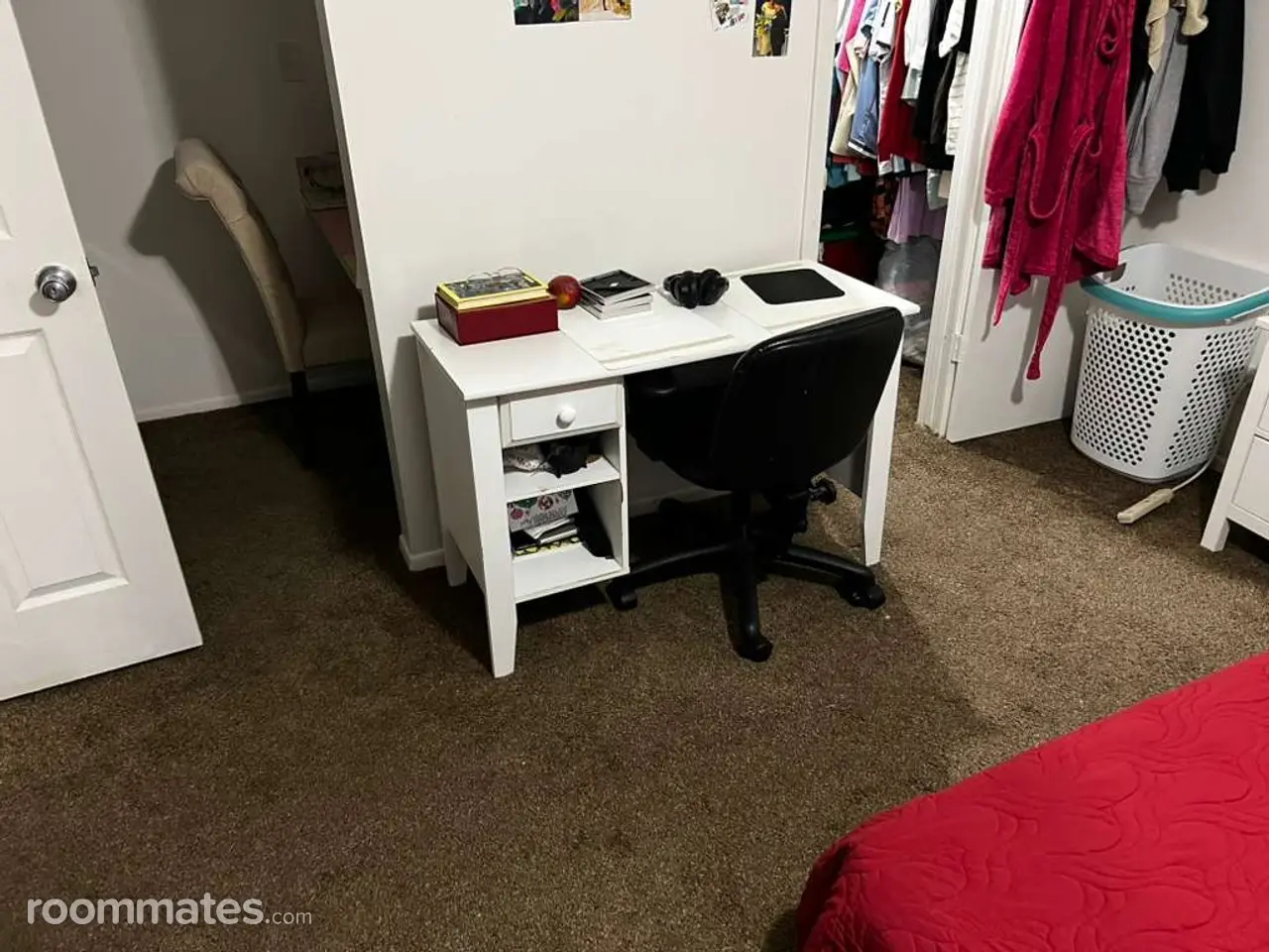 Profile photo 1 of 11