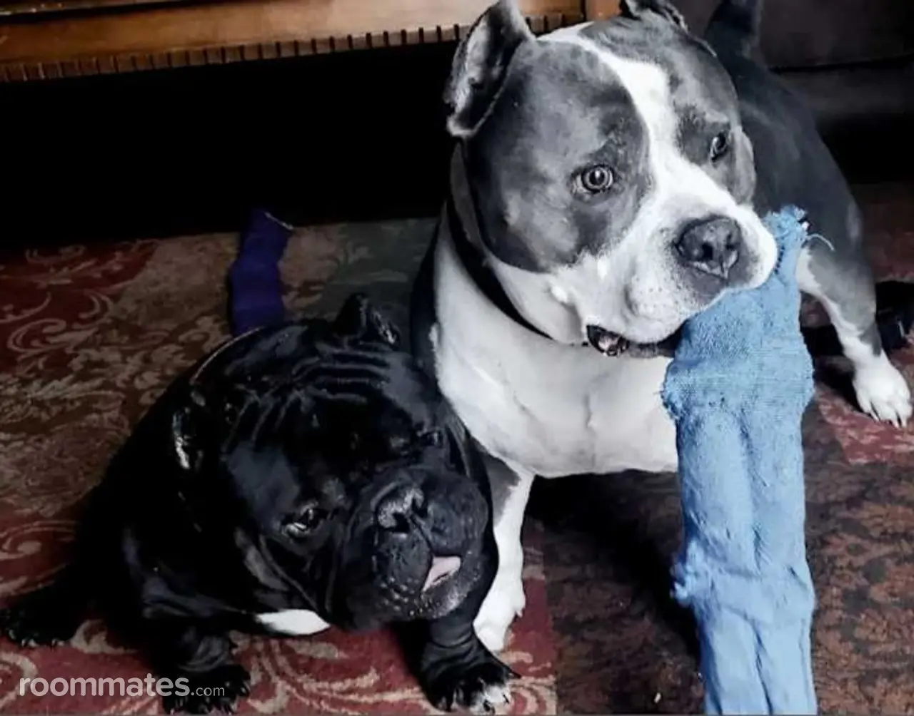 Profile photo 3 of 15