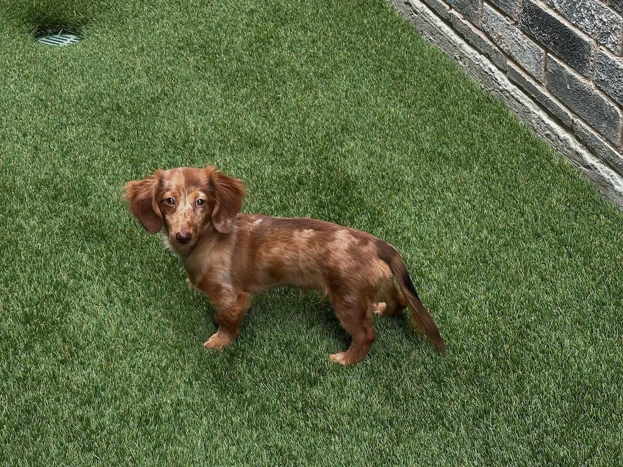 Profile photo 11 of 13