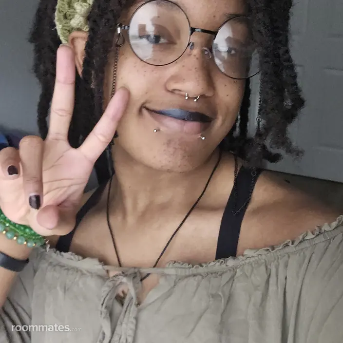 Roommate looking Norfolk, VA, $700