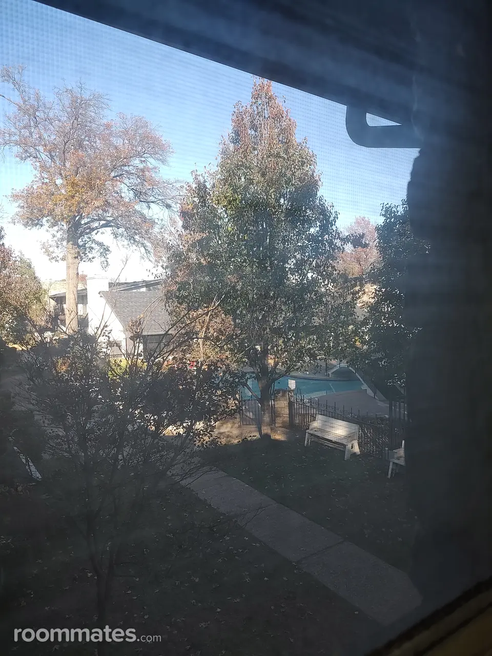 Profile photo 4 of 5