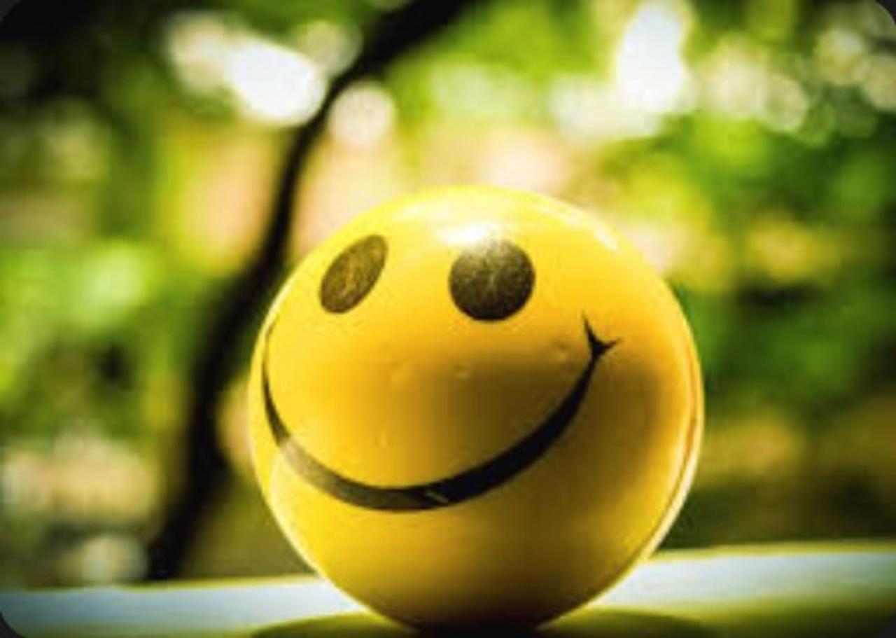 Profile photo 2 of 2