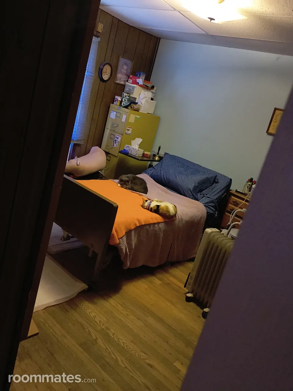 Profile photo 5 of 14