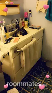 Room for rent in Chattanooga, TN $500, house