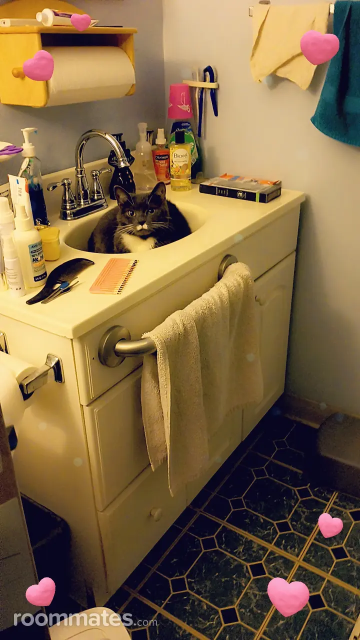 Profile photo 1 of 14