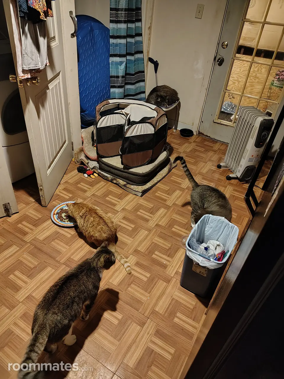 Profile photo 6 of 14