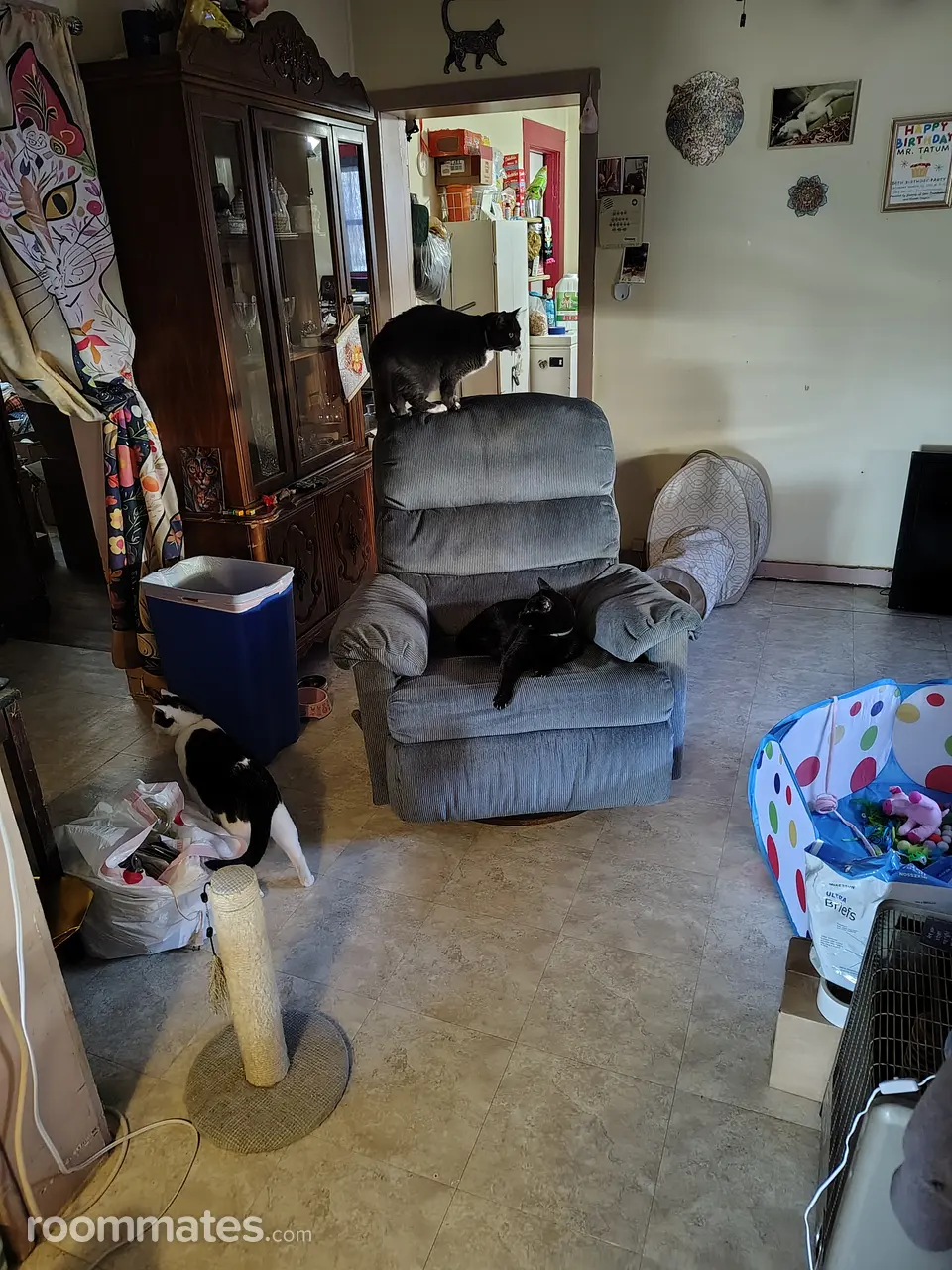 Profile photo 4 of 14