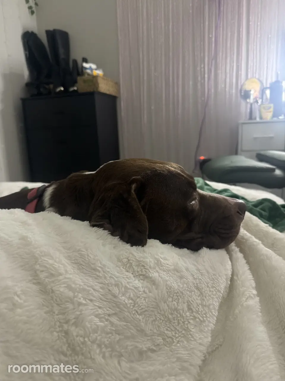 Profile photo 1 of 2