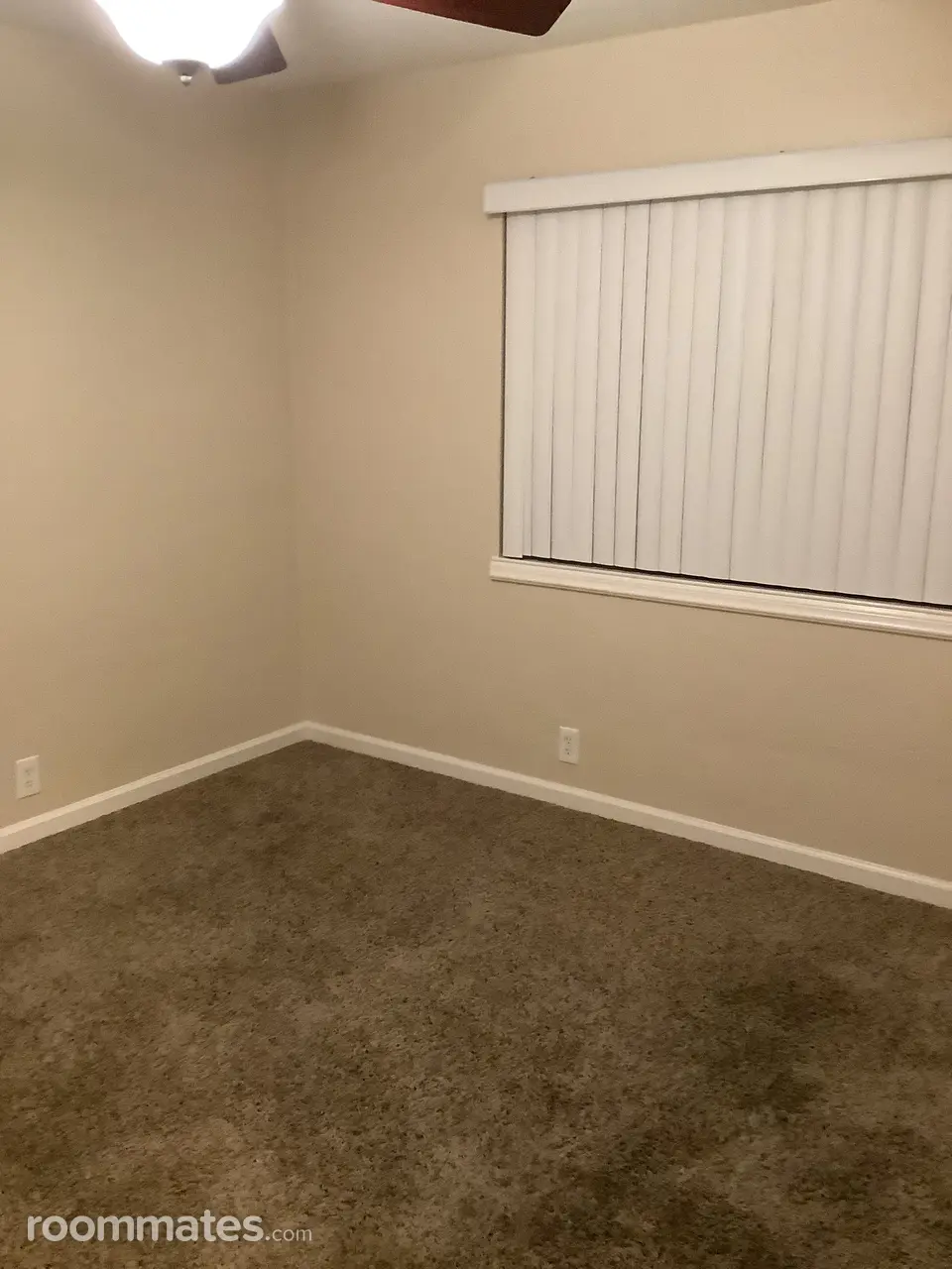 Profile photo 2 of 4