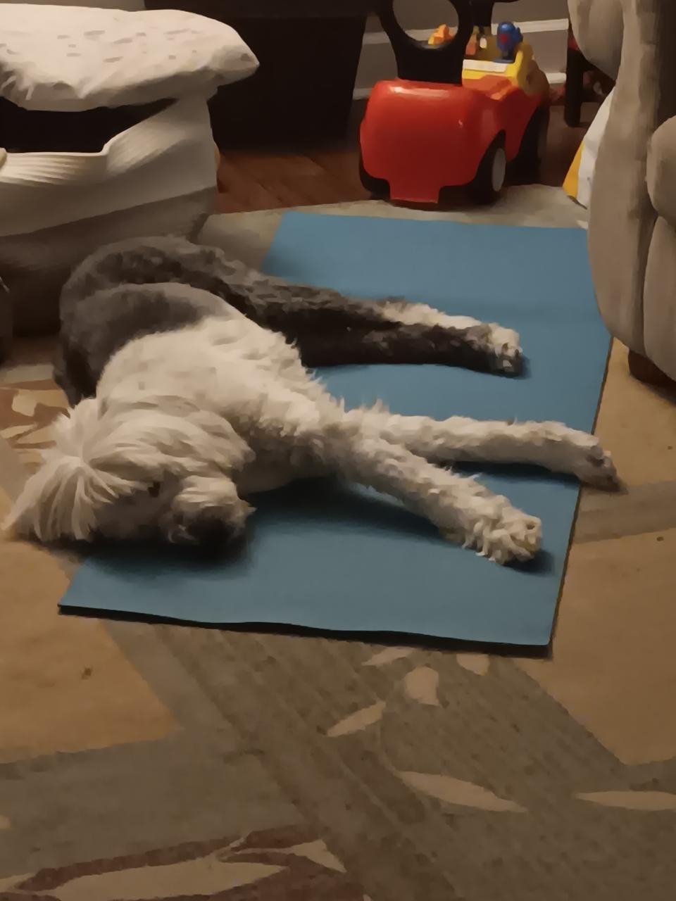 Profile photo 11 of 12