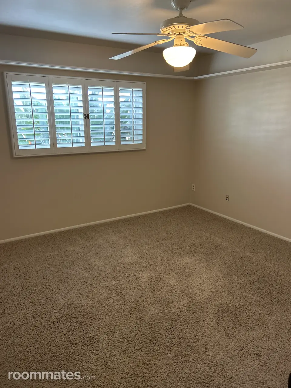 Profile photo 2 of 7