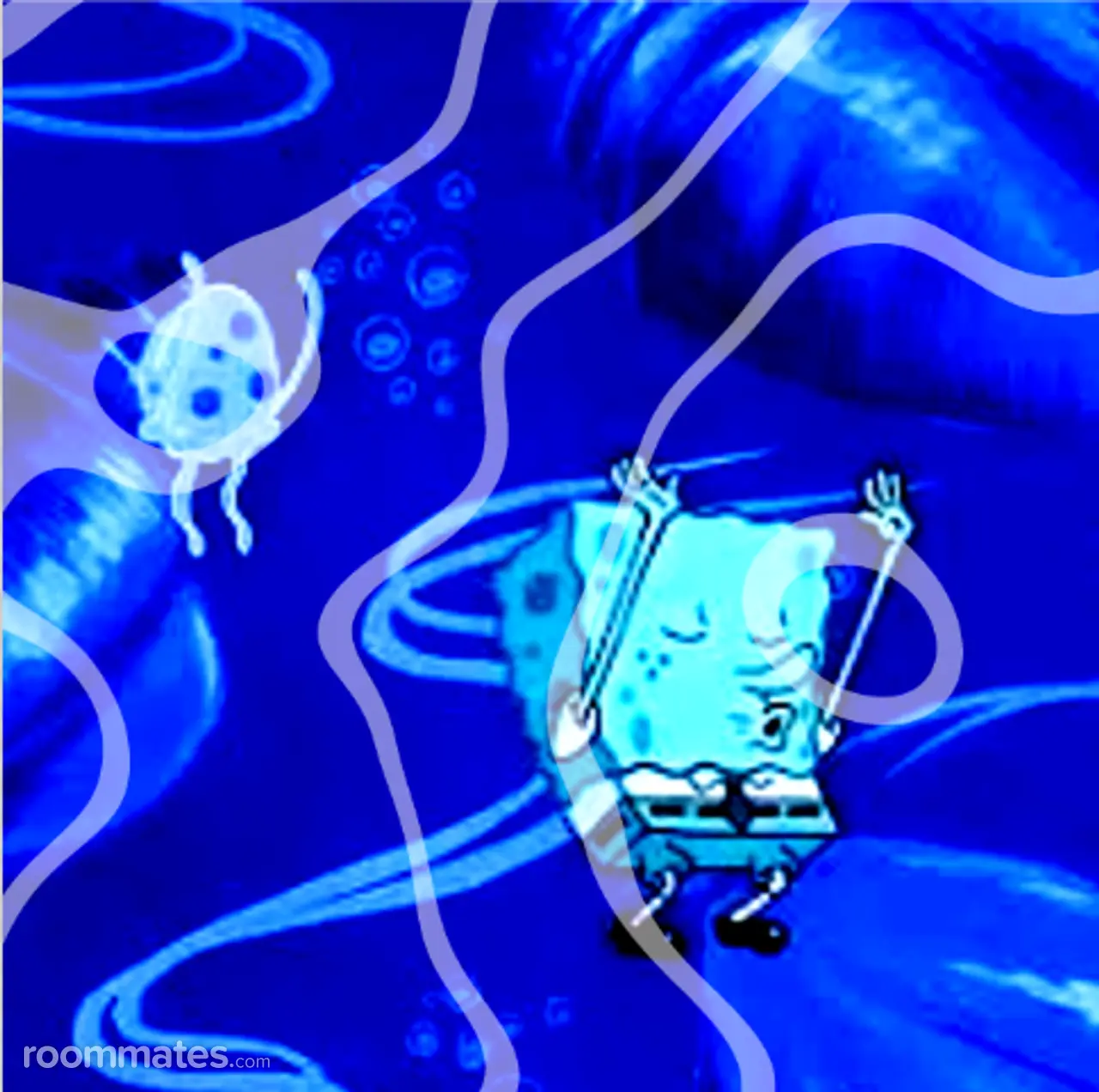 Profile photo 7 of 7